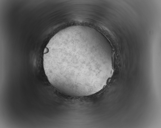 X0000089370776200706291246