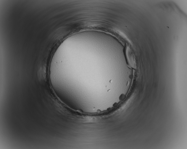 X0000089370777200706291246