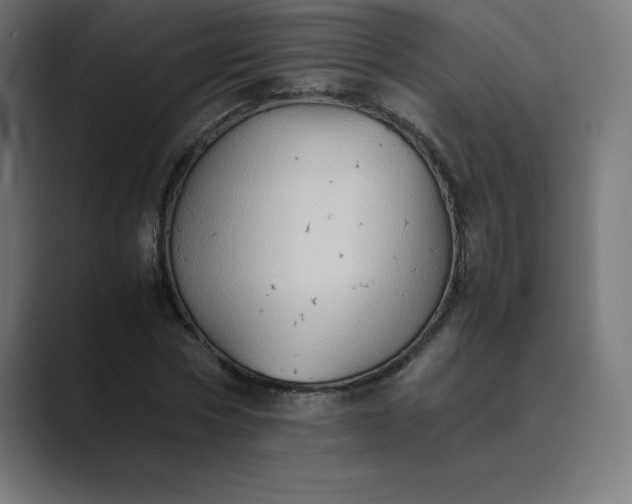X0000089370778200706291246
