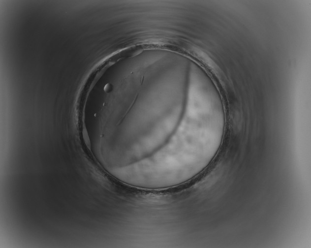 X0000089370779200706291246