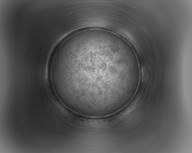 X0000089370780200706291246