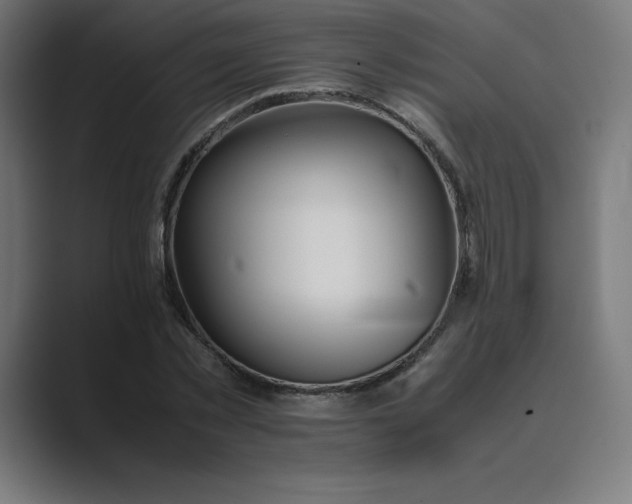 X0000089370781200706291246