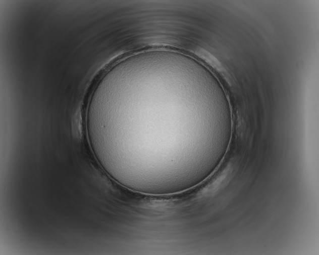 X0000089370782200706291246