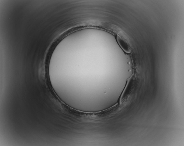 X0000089370784200706291246