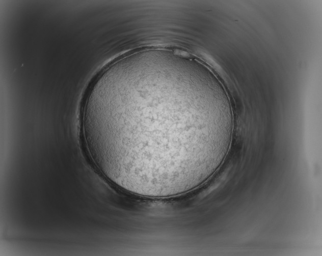 X0000089370787200706291246
