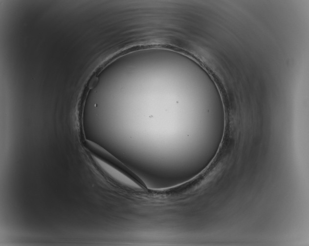 X0000089370789200706291246
