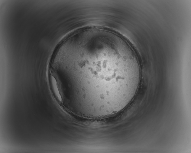 X0000089370791200706291246
