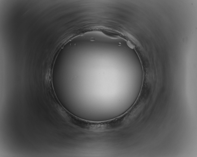 X0000089370793200706291246