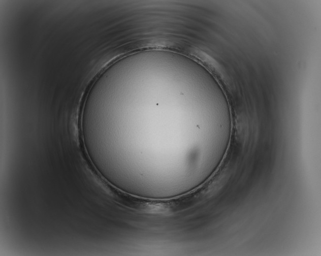 X0000089370794200706291246