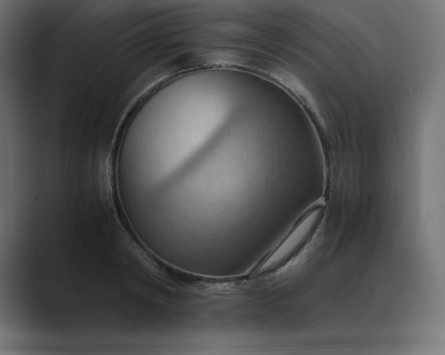 X0000089370798200706291246