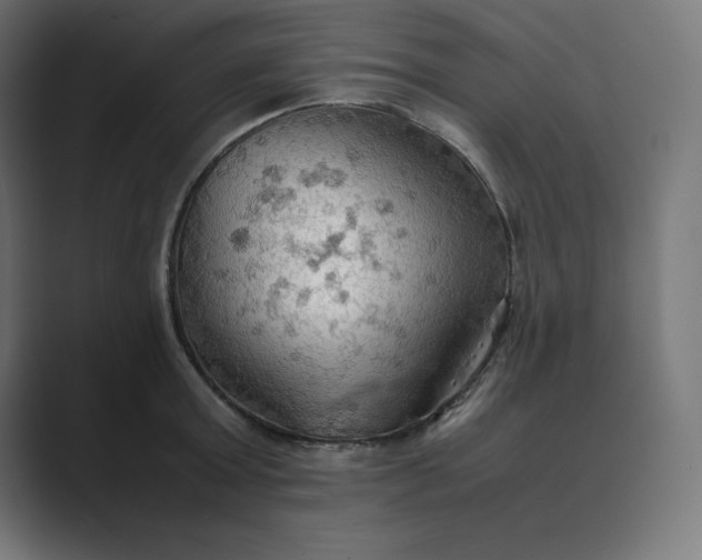 X0000089370803200706291246