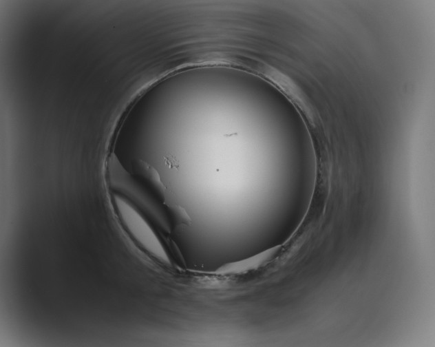 X0000089370805200706291246