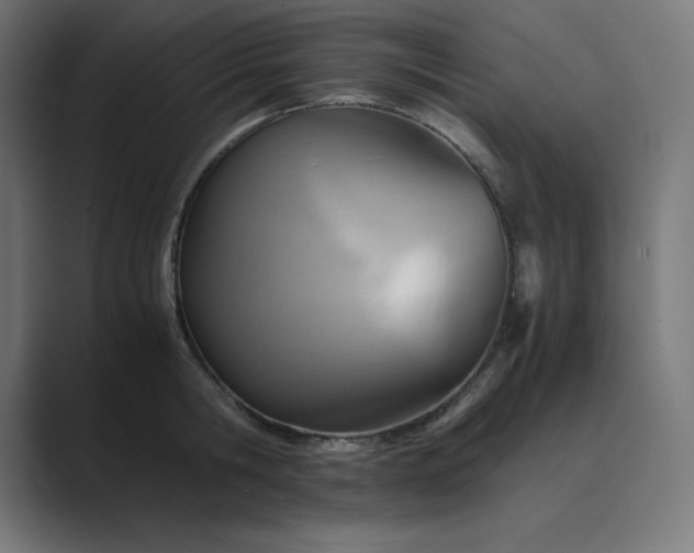 X0000089370806200706291246