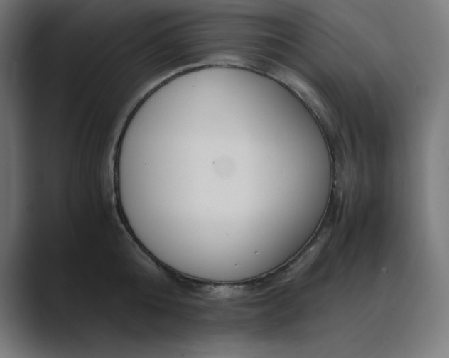 X0000089370808200706291246