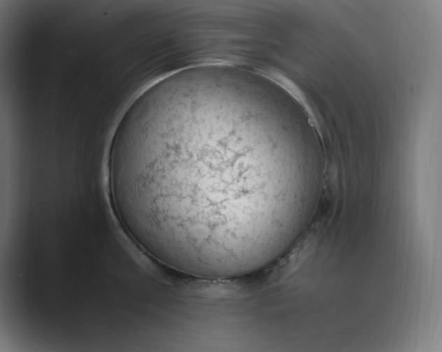 X0000089370811200706291246
