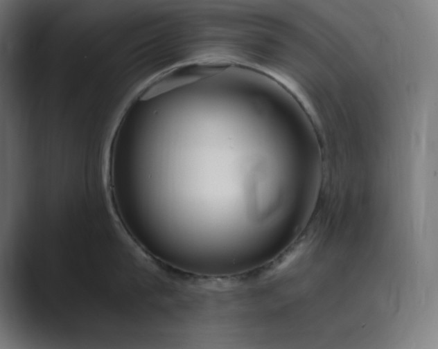 X0000089370815200706291246