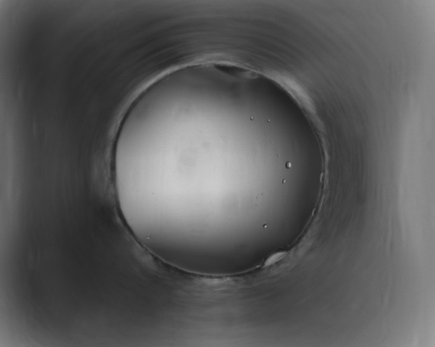X0000089370816200706291246