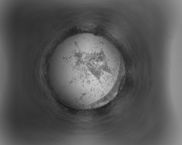 X0000089370817200706291245