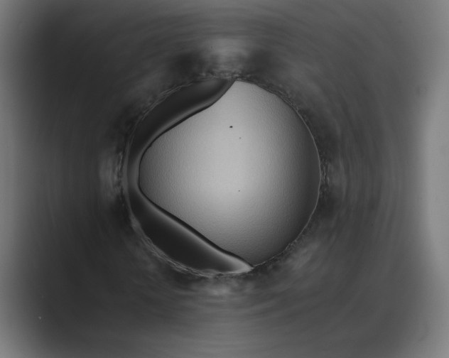 X0000089370818200706291245
