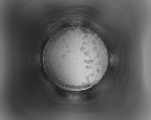 X0000089370819200706291245