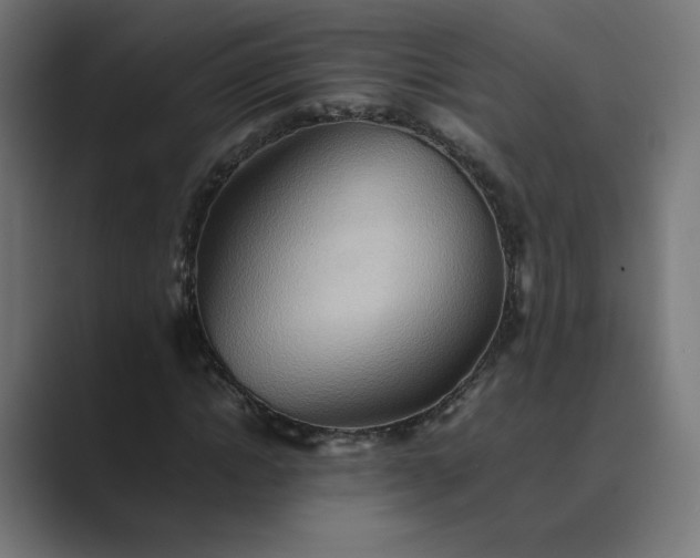 X0000089370822200706291245