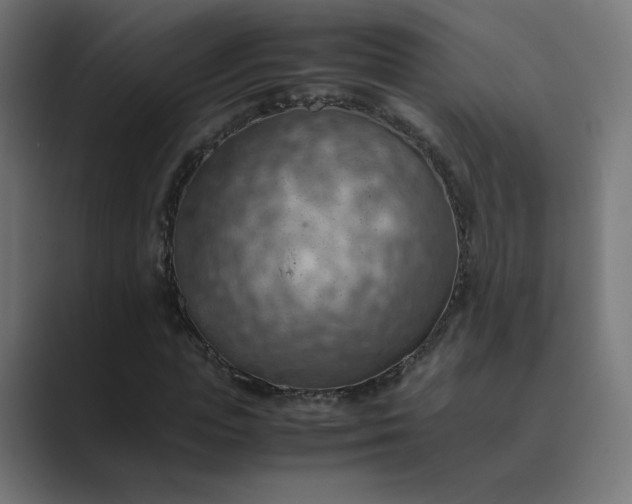 X0000089370823200706291245