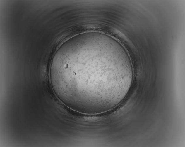 X0000089370825200706291245