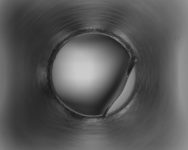 X0000089370826200706291245