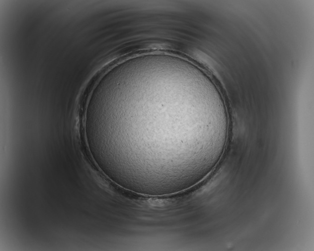 X0000089370827200706291245