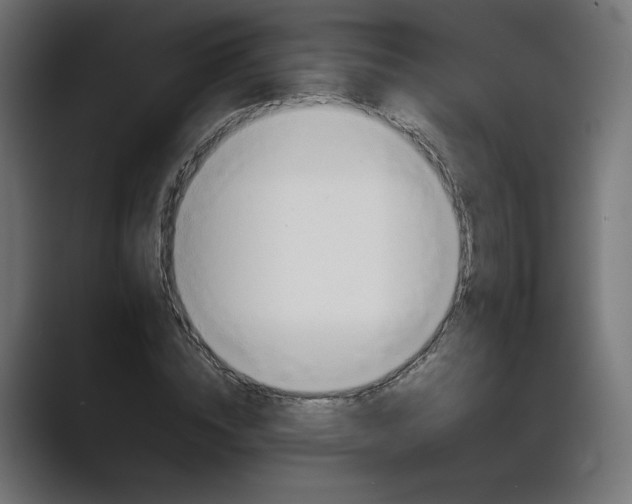 X0000089370828200706291245
