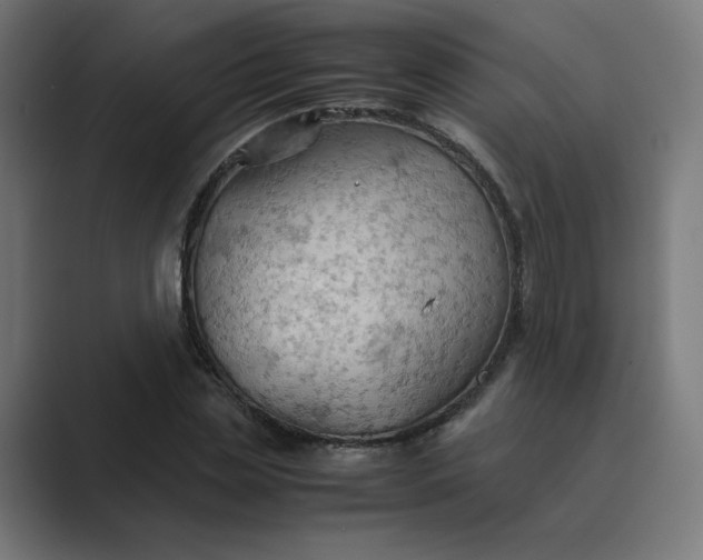 X0000089370829200706291245