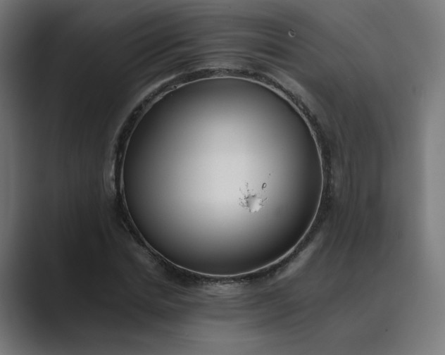 X0000089370830200706291245