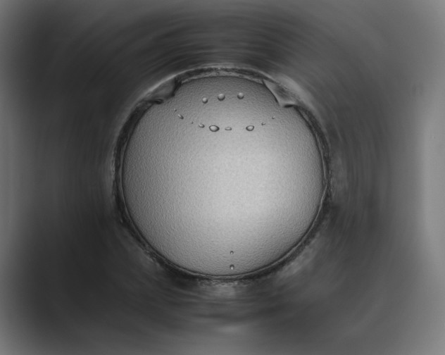 X0000089370831200706291245