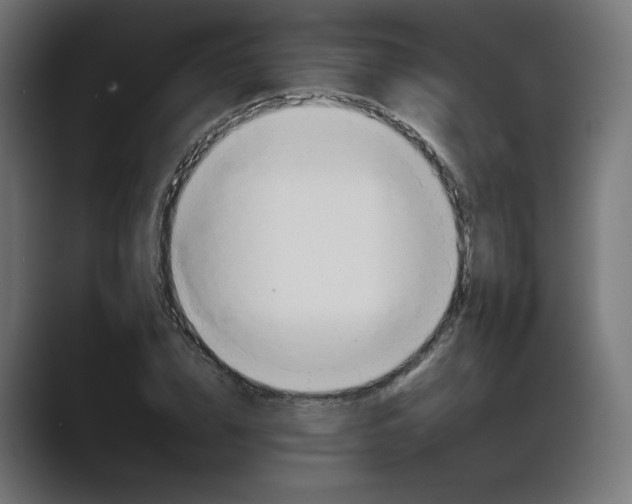 X0000089370832200706291246