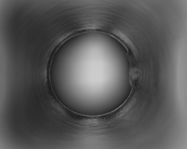 X0000089370834200706291246