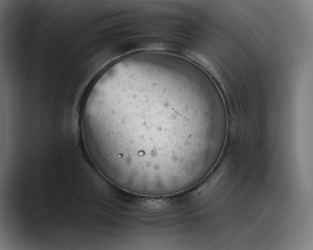 X0000089370835200706291246