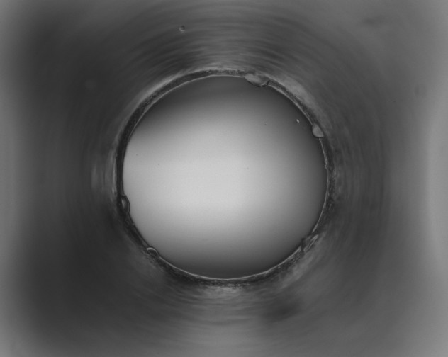 X0000089370838200706291246