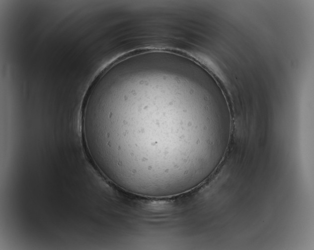 X0000089370839200706291246