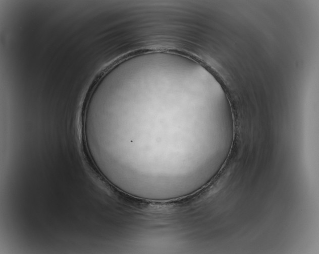X0000089370840200706291246