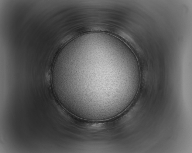X0000089370841200706291246