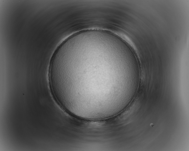 X0000089370847200706291246