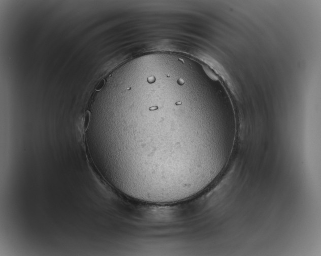 X0000089370849200706291246