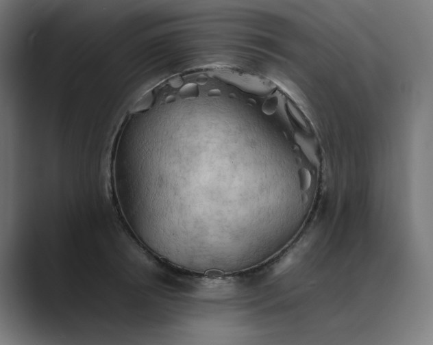 X0000089370850200706291246