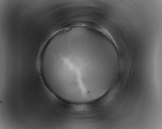 X0000089370851200706291246