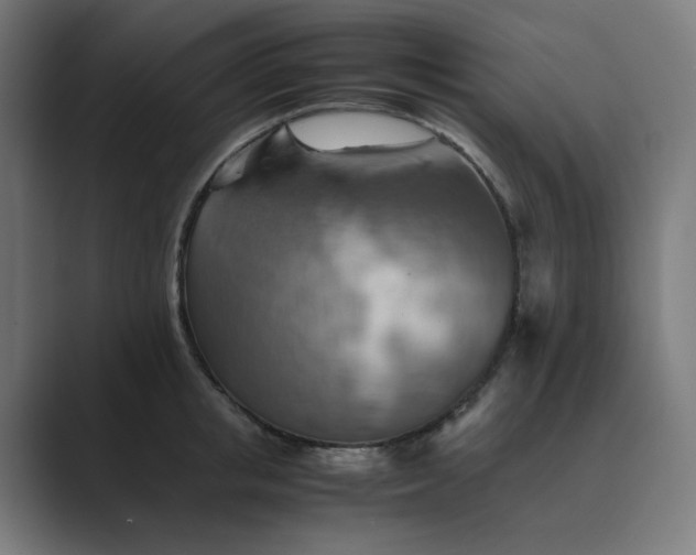 X0000089370853200706291246