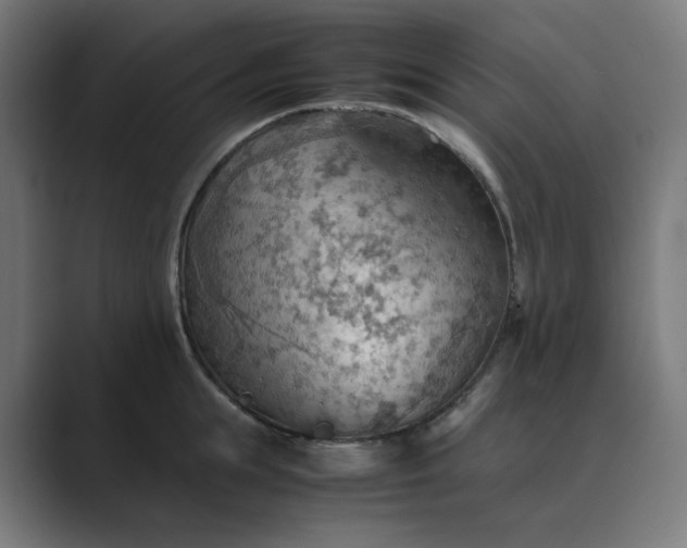 X0000089370855200706291246