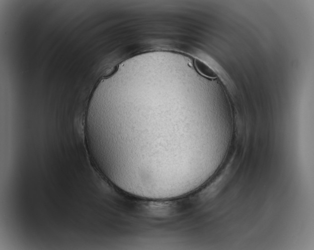 X0000089370857200706291246