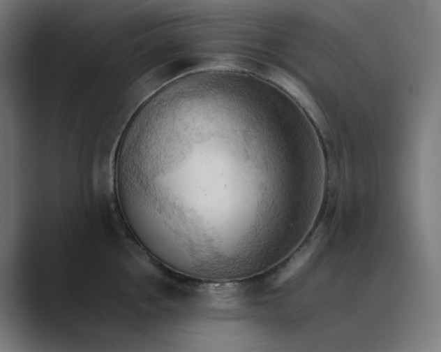X0000089370858200706291246