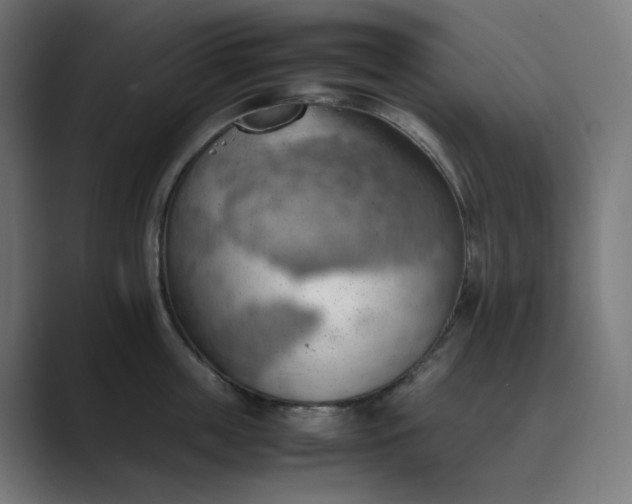 X0000089370859200706291246