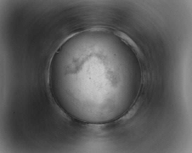 X0000089370860200706291246